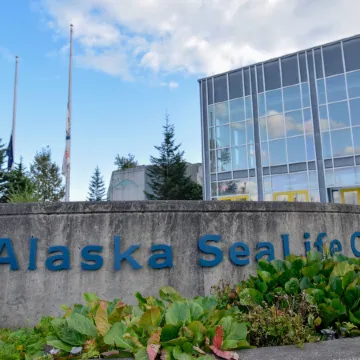 Brown & Hawkins Historical Apartments Отели в г. Сьюард