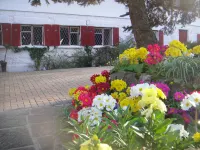 Undercliff Guest House Hotels in 