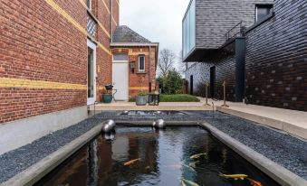 Art of Dreams Deluxe 4 Stars