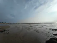 Jangala Resort