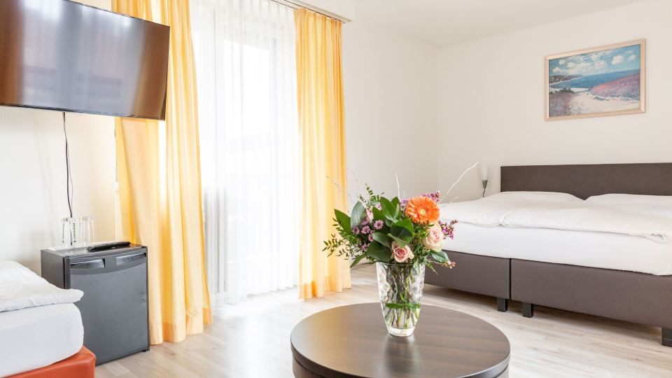 Hotel Alexander