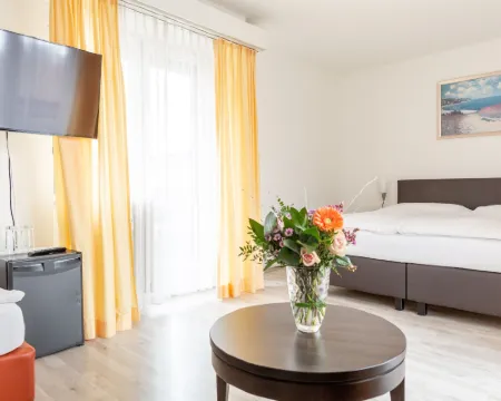 Hotel Alexander Hotels in Basel