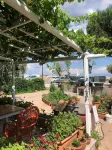 Assos Buyuk Yildizsaray Hotel