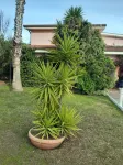 B&B Villa Giovanni Hotels near Torrefazione Remondi