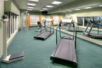 Holiday Inn Express & Suites Carlsbad by IHG - ジム