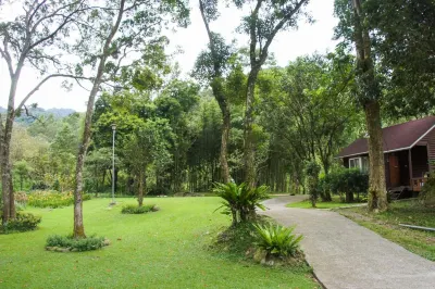 Hemerocerite Forest Countryside Bed and Breakfast Hotels in Miaoli