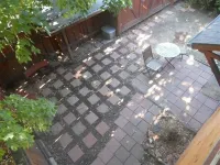 Story Street Rental Apartment-close to everything!