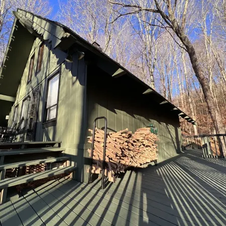 4 min Beech Mtn. Gem: Cabin Retreat near Slopes & Trails Pet friendly