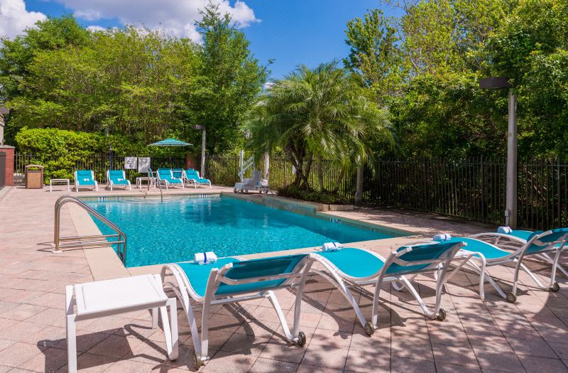 Holiday Inn Express & Suites Tampa-Anderson RD/Veterans EXP by IHG photo 4