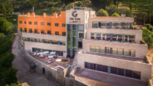 Vila Gale Collection Douro Hotels in 