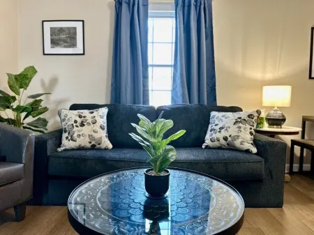 Spring Street Suites C / Stylish 3BD/1BA Apt