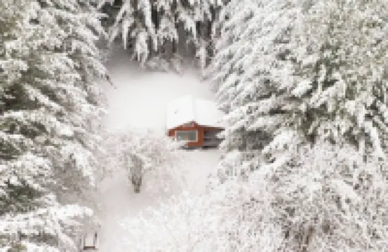 Remote Tiny Cabin & Hiking!