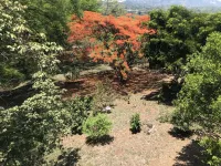 Cabin surrounded by nature at ground level with terrace Hotels in Santa Eulalia