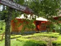 Pugmarks Jungle Lodge Hotels near Kuruvadweep