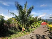 Mountain View House 120sqm 2 separate apartmnts car park spring water fiber WIFI