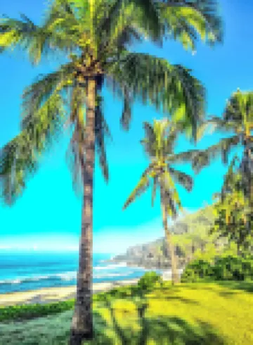 Maison d'hôtes Villa des Mascareignes