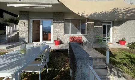 Plumbago Blue vicinity Montemarcello Sarzana Lerici Portovenere 5Terre Versilia