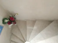 FLOOR in Paradis house.