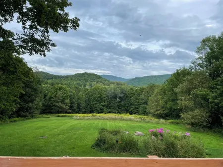 "Pleasant Brook Cottage" near Roxbury Village - Woods, Streams, Wi-fi, sleeps 6