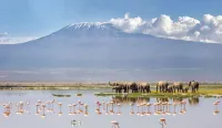 Kibo Villa Amboseli Hotels in Amboseli