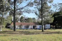 A Casa do Pinheiro tem uma Área de 5.000m2 com Piscina Các khách sạn ở Santa Maria do Castelo