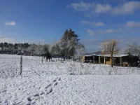 Modern villa in Rochefort close to the horses - Villas