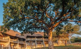 Chobe Safari Lodges