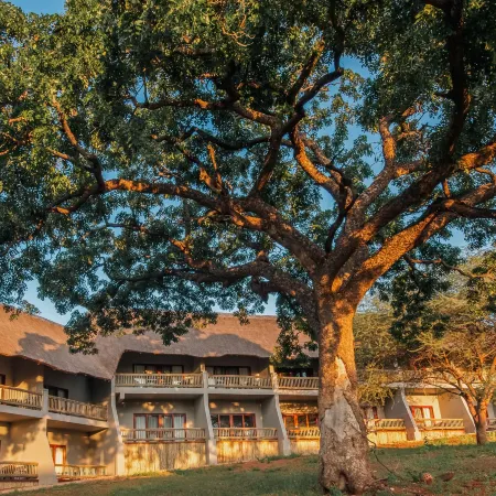 Chobe Safari Lodges