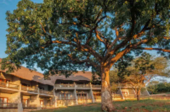 Chobe Safari Lodges Hotels in 