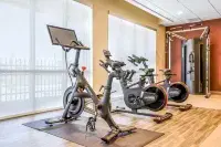Hampton Inn by Hilton Aurora Medical Center Denver - Gym