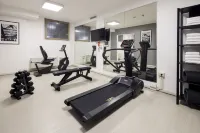 Holiday Inn GENOA CITY by IHG - Gym