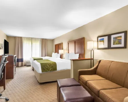 Comfort Suites Hotels in Mount Vernon