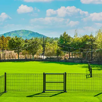 Hanwha Resort Jeju Các khách sạn gần Rừng sinh thái Halla