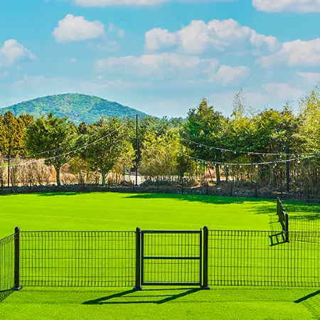 Hanwha Resort Jeju Отели рядом с достопримечательностью «Парк аттракционов «Эколенд»»