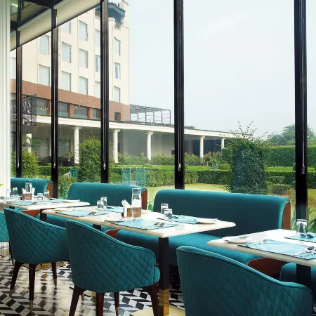 TreeHouse Velis Sonipat