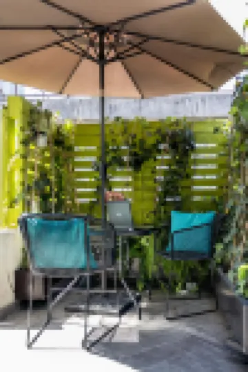 카사 파누코  호텔