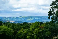 Cottage in Monmouthshire Near Wye Valley - 4-Star