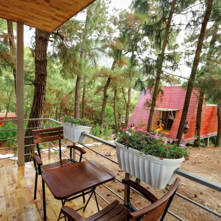 Ecolodge Cat Ba