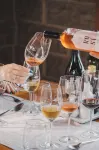 Villa Vinicolla - Refúgio & Vinícola Boutique Com Degustações