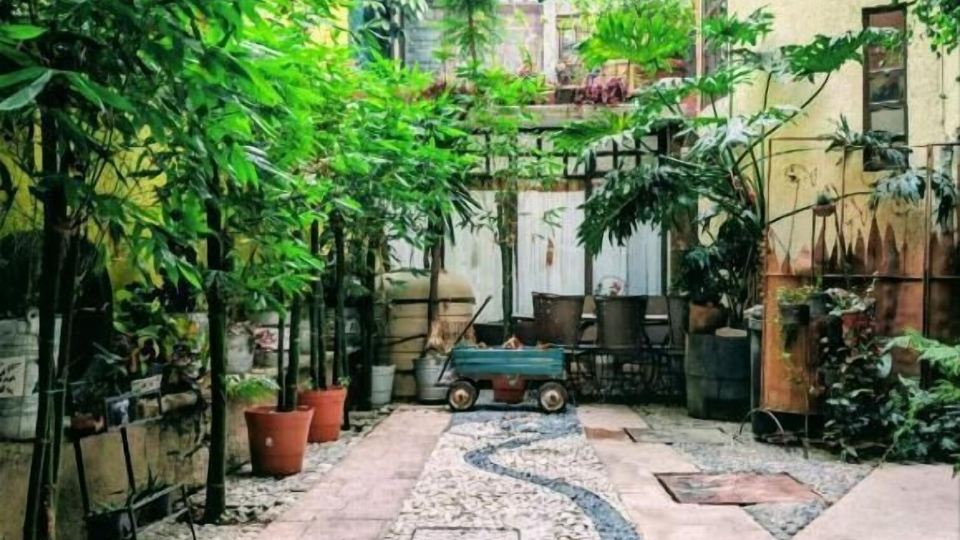 Hotel Coyoacan