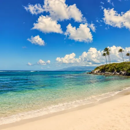 Kbm Resorts Free Car Anuenue at Montage Kapalua Bay Oceanfront Villa Pool Beach Access