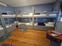 Hostel Pinheiros SP - Hostels