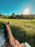 Le Fontanelle Country House - 2-Star