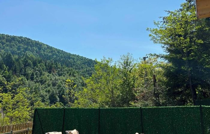 Abant Yayla Dagevi