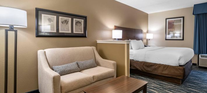 Comfort Inn & Suites Newark - Wilmington ニューアークのホテル