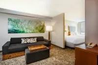 SpringHill Suites by Marriott Miami Airport South Blue Lagoon Area - Gym