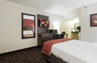 Red Roof Inn Oklahoma Airport - I-40 W/Fairgrounds - Motels