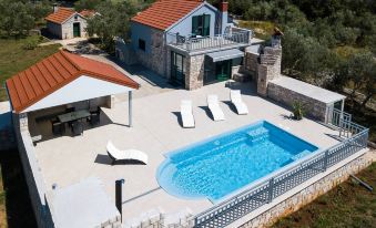 Villa with the Pool Near Vela Luka