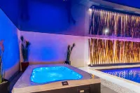 Best Western Plus Au Cheval Blanc Mulhouse Nord - spa