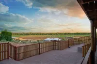 Kalahari Lion's Rest